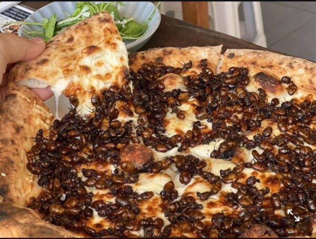 Ant Pizza from Thailand