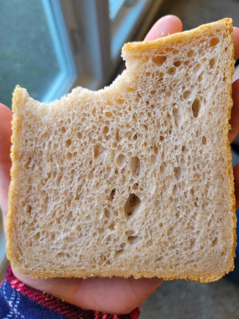 Made some really delicious bread today (Butter Bread)