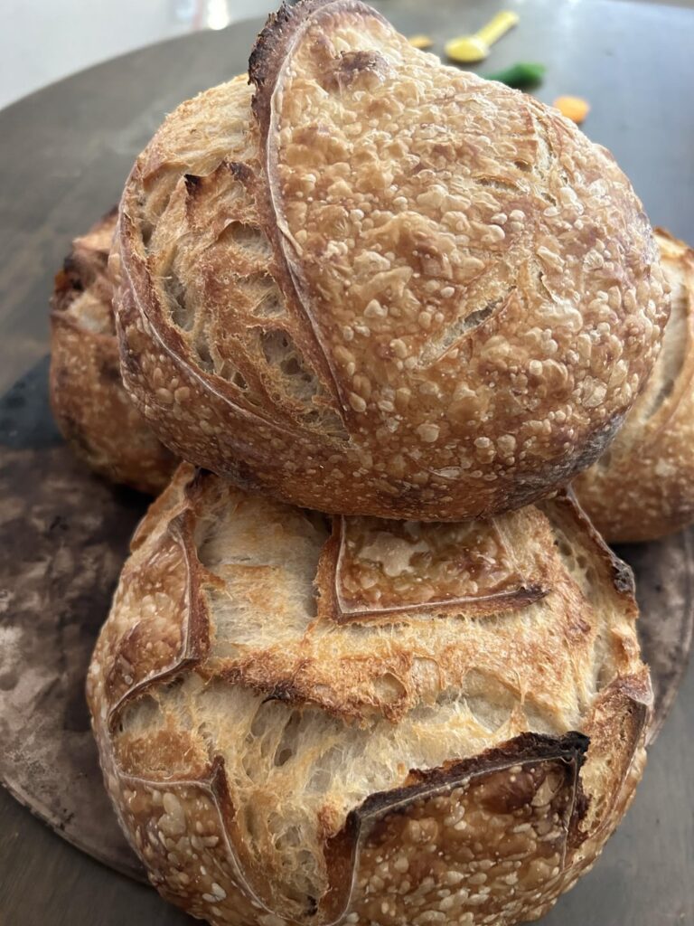 Waking up an old starter in time for Thanksgiving