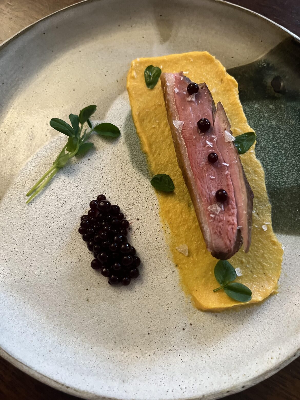 Sous Vide Duck Breast • Butternut Squash Purée • Spur Cherry Caviar • Pea Shoots