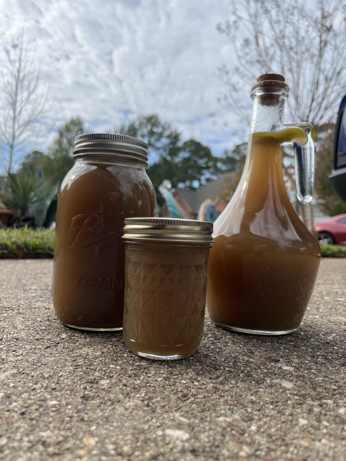 Post Thanksgiving Turkey Stock