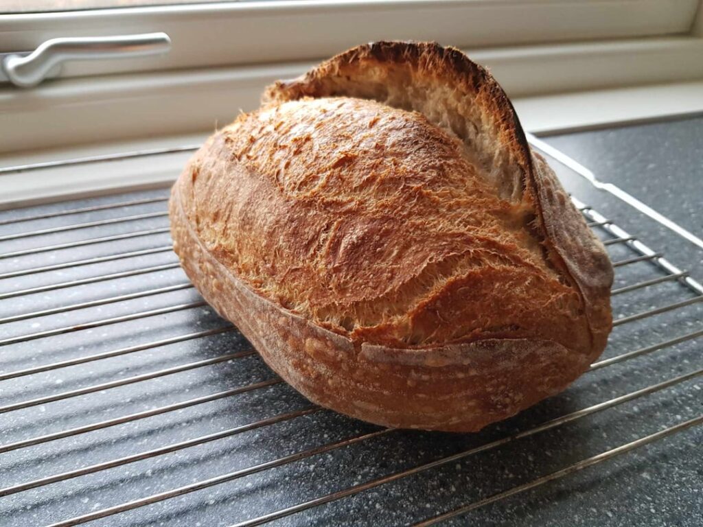 Guys, I think I did it. That ear!