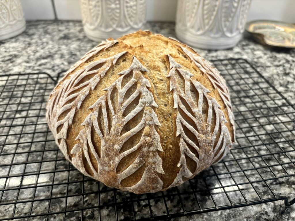 First Christmas trees of the season