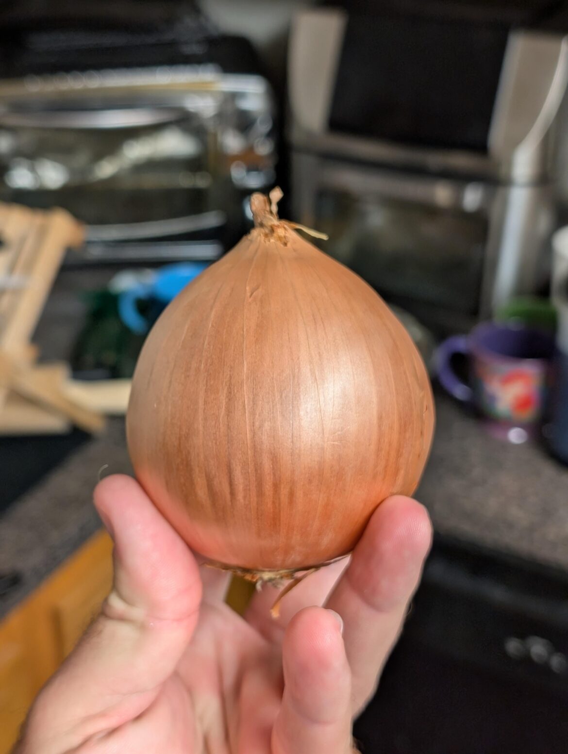 Are we showing off perfect onions?