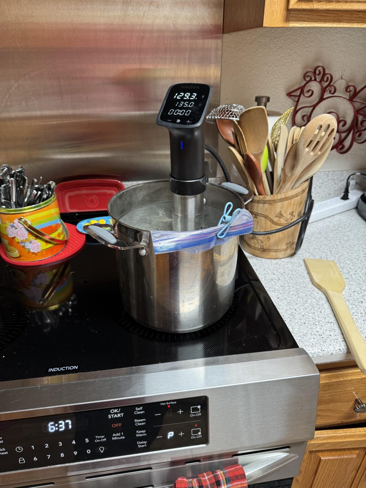 Sous Vide + Induction?