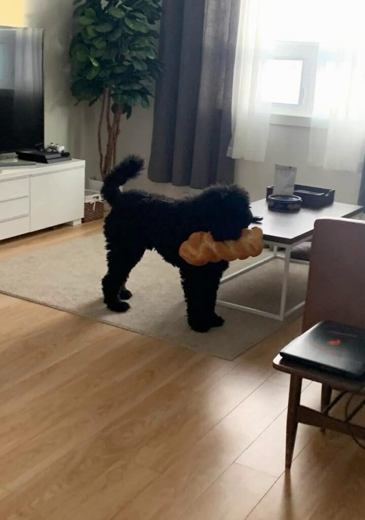 I spent an entire day baking challah bread only to have it stolen