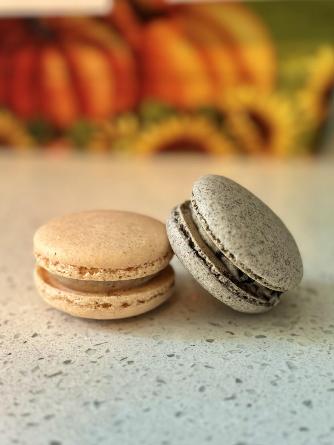 Pumpkin Spice / Cookies & Cream