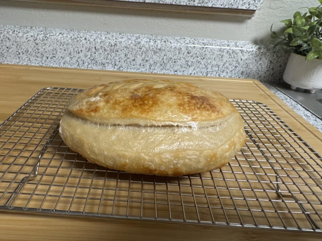 Started from the bottom now we here 😂