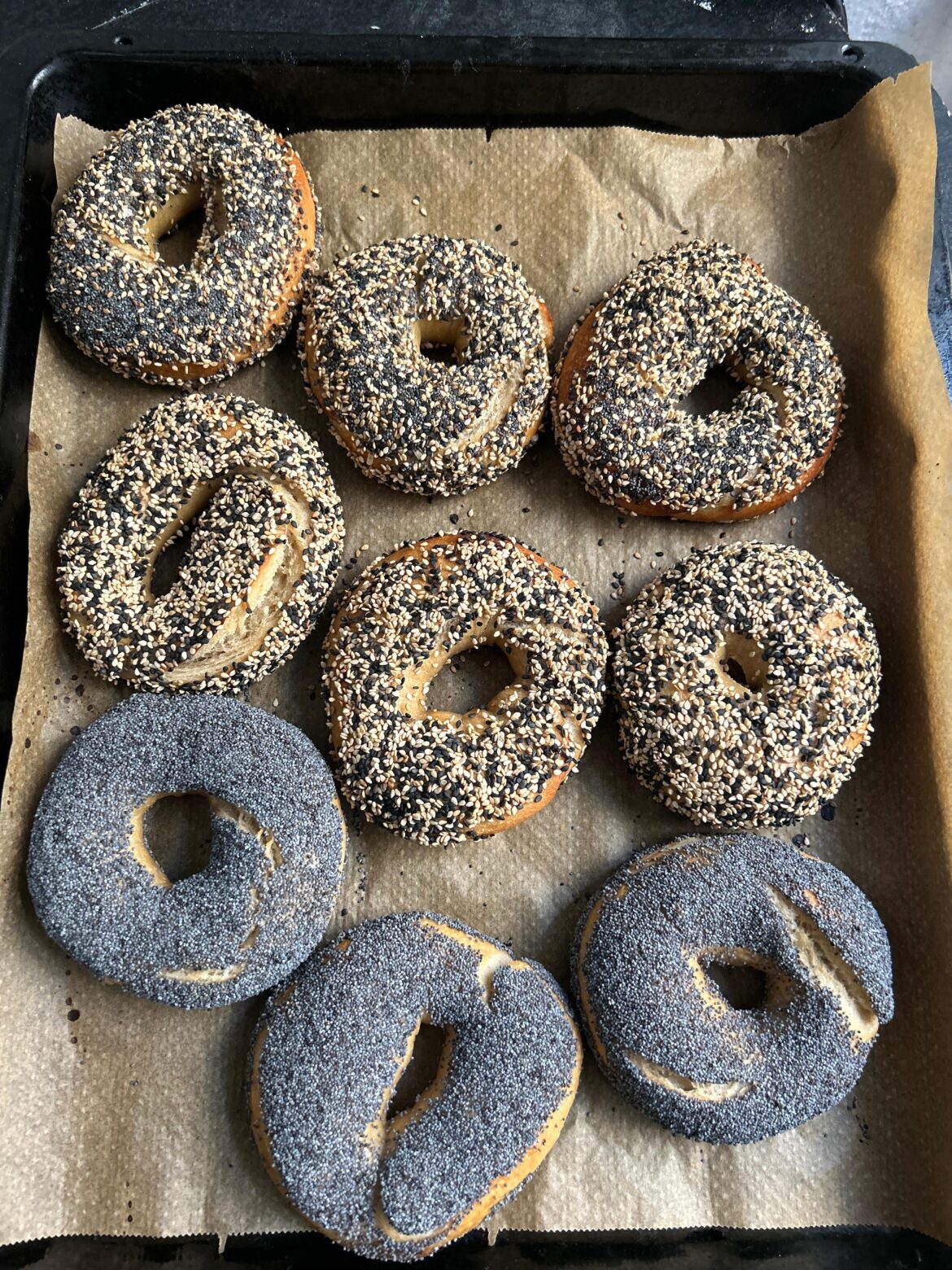 Made some sourdough bagels