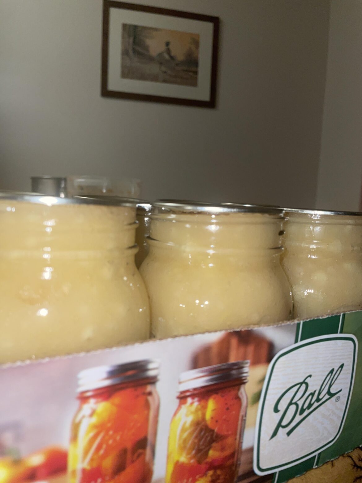 APPLESAUCE- Are these overfilled?