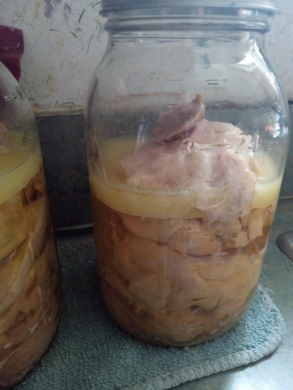 Canned chicken mistake