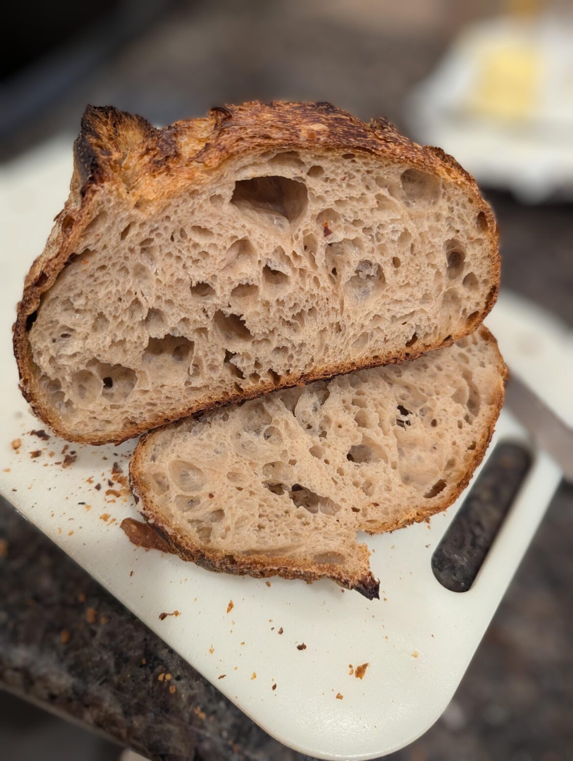 Today's 20% whole wheat loaf