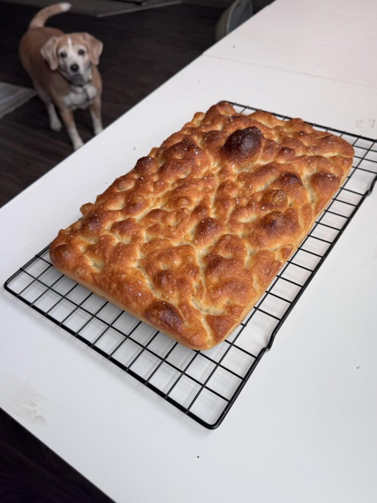 Happy thanksgiving yall! First try at Focaccia, kept it simple.