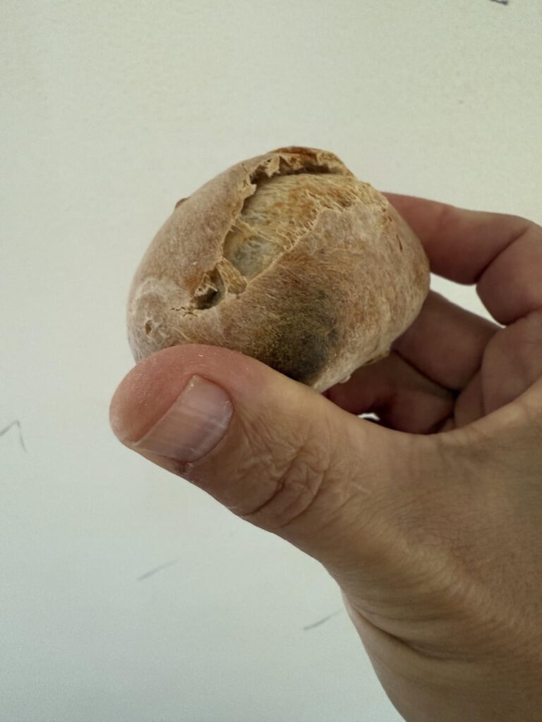 Anyone else bake a mini?