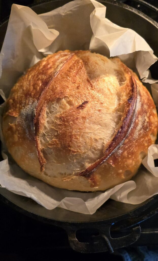 Just a little rainy day sourdough