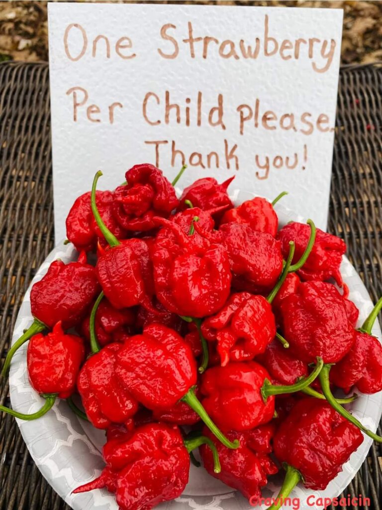 Found this on Facebook