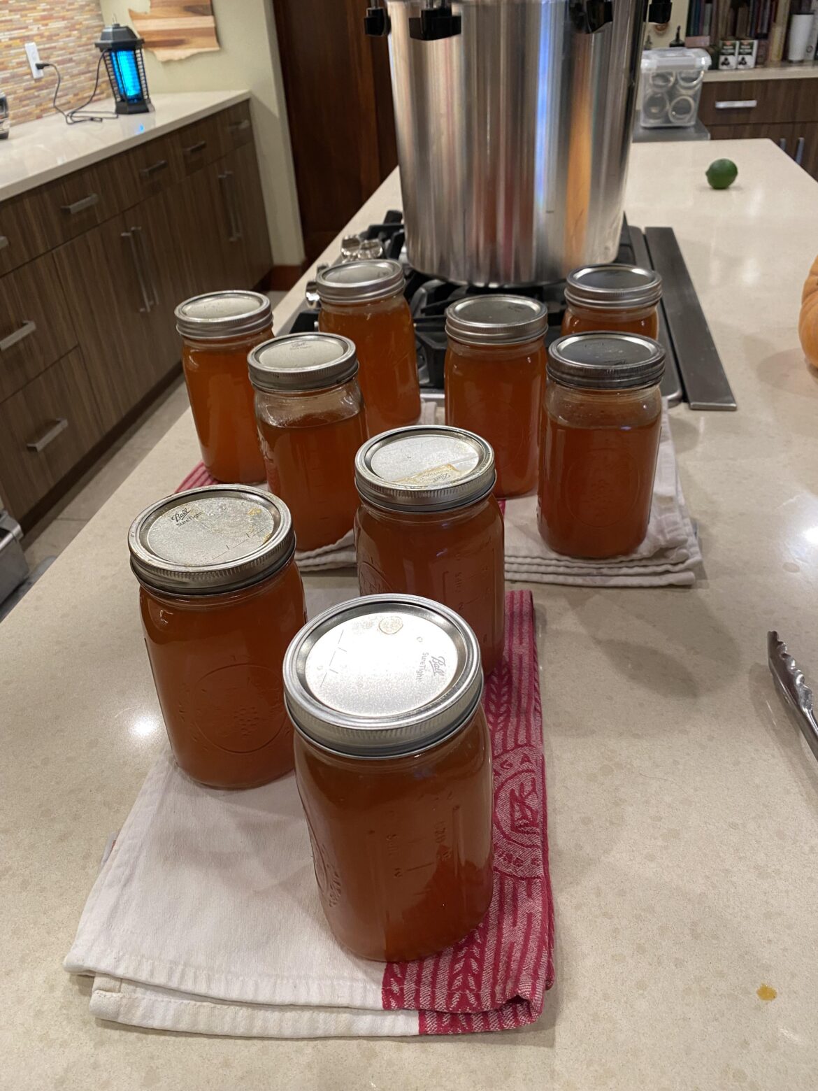 Such Golden Goodness (Chicken Stock)