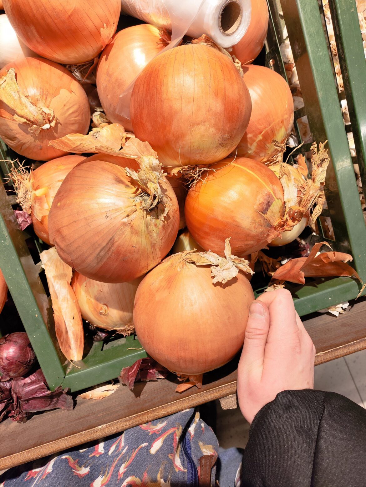 Found massive onions at shop