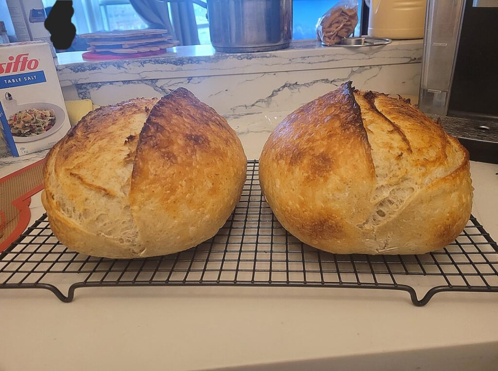 Finally got the oven spring after 1 year