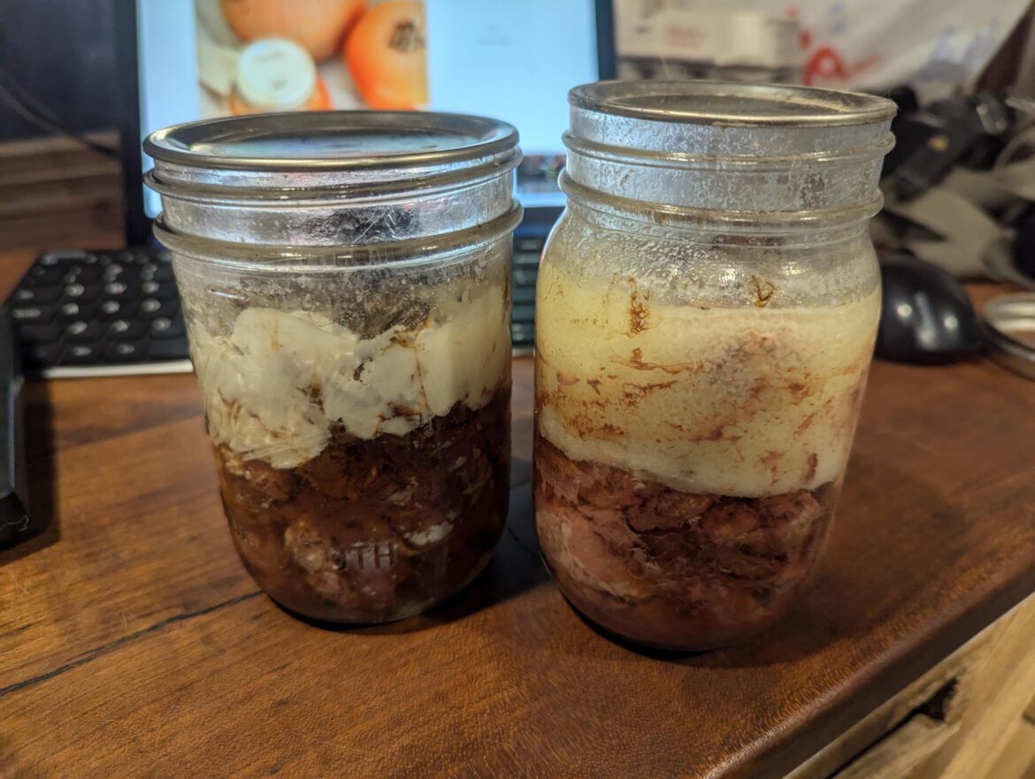 Dog food safe to eat?