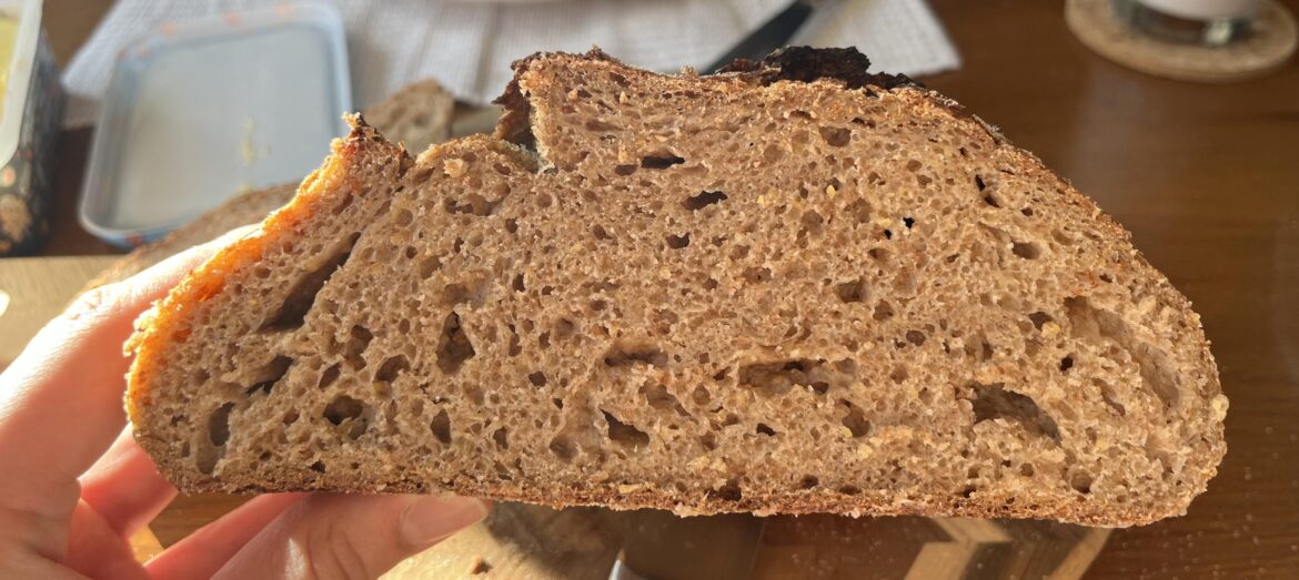 First non-frisbee in ages. Please advise.