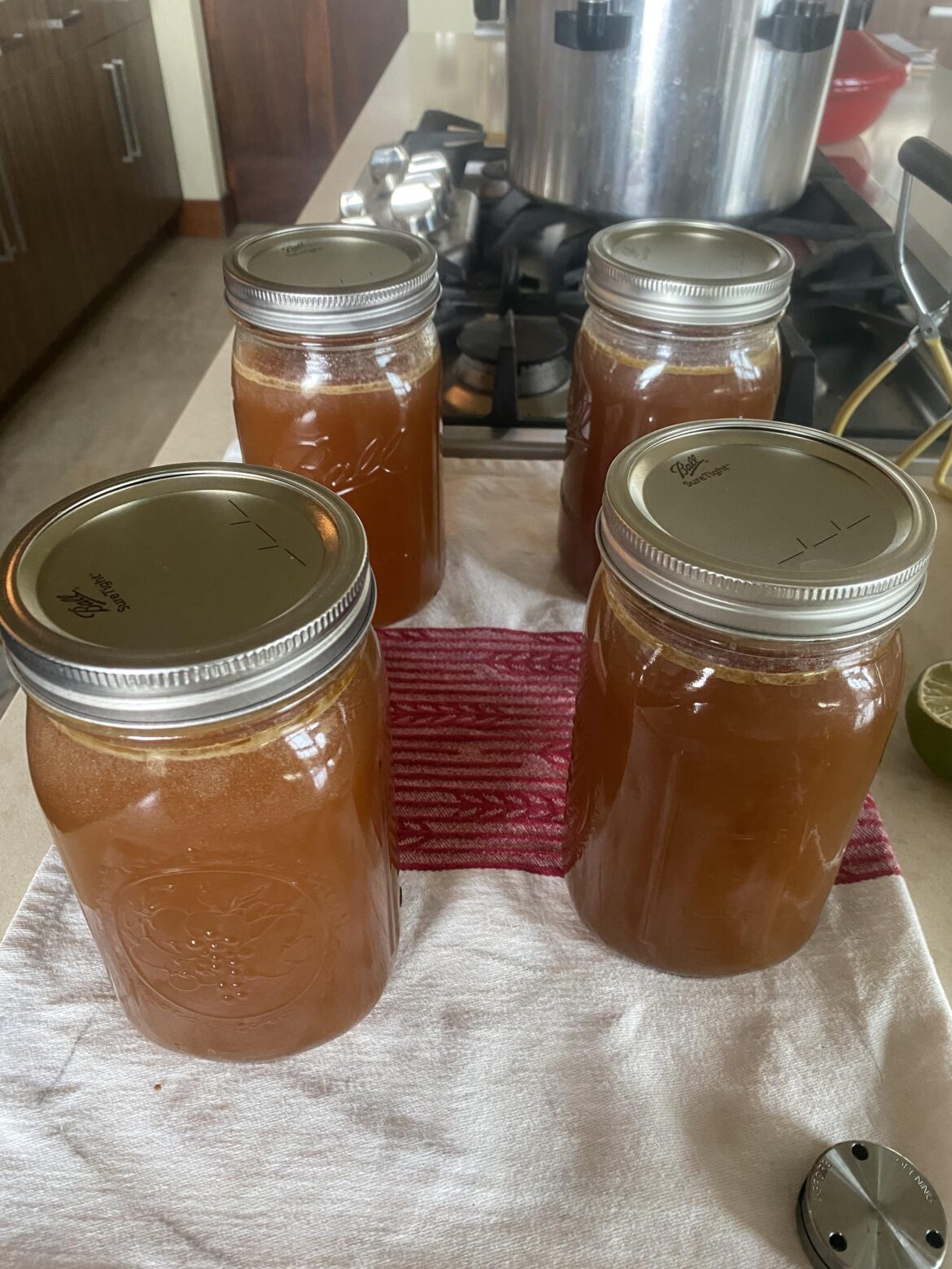 Turkey Stock: The Final Chapter