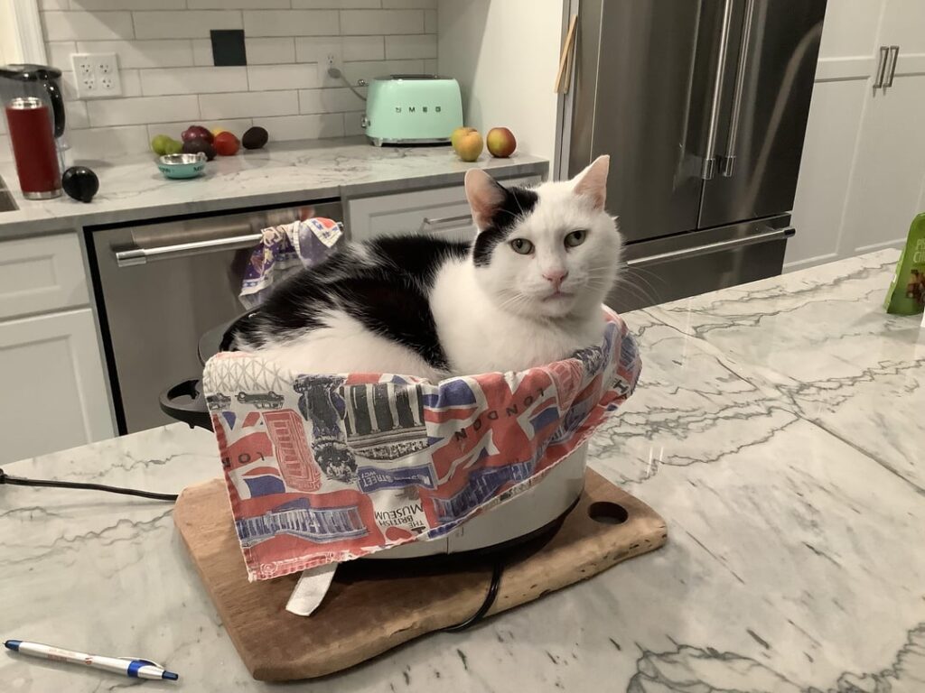 What additional seasonings should I throw in to make this meat tasty???