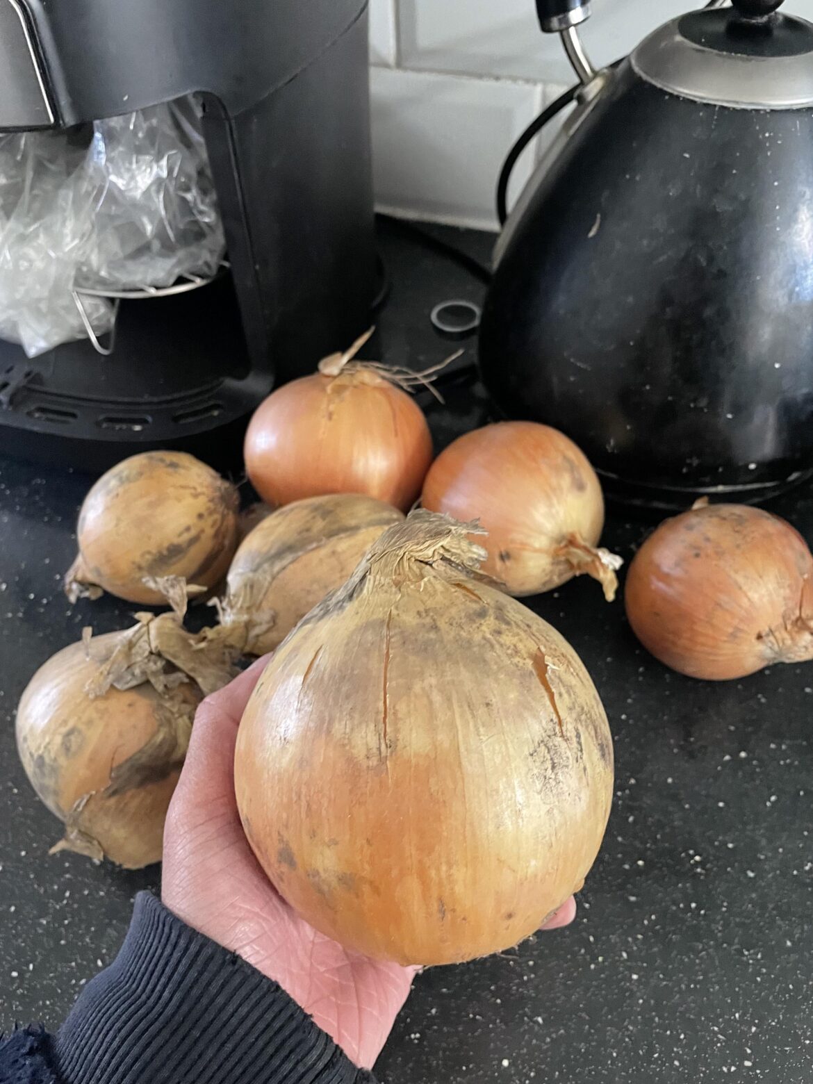 The biggest onion I’ve ever seen 😳