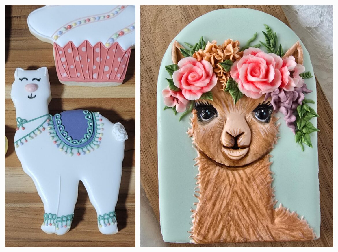 My 2 year llama glowup 🌟