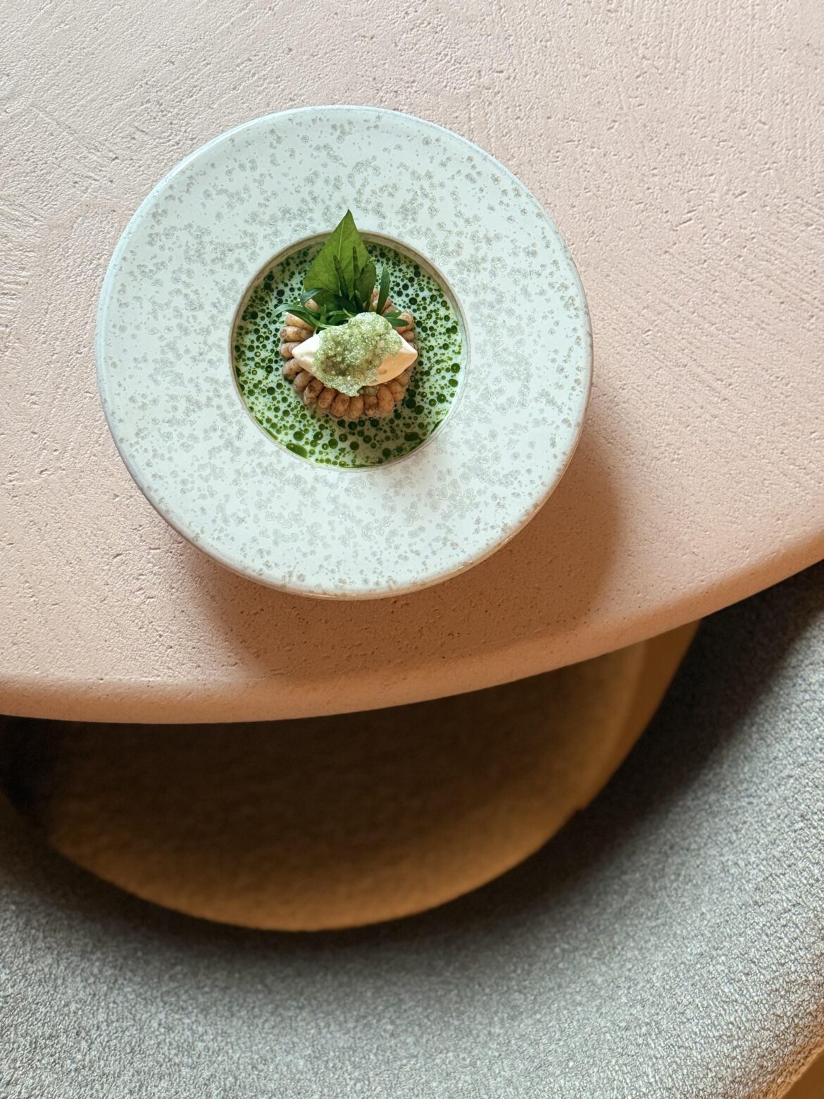 Hand-Peeled grey shrimp, plankton cremeux, salad of young leeks & pickled seaweed, beurre blanc ice cream, vinaigrette of smoked buttermilk split with dill oil.