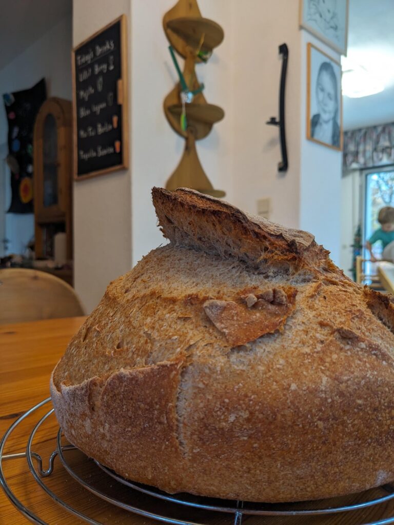 Is this an ear or a cool cap😅