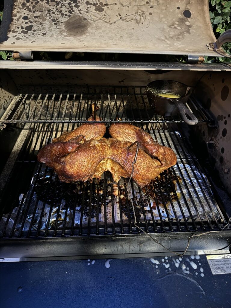 First spatchcock!