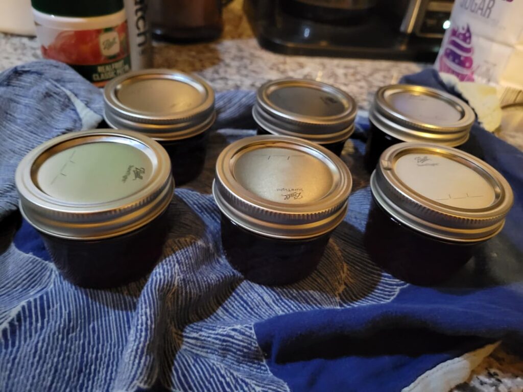Made some pomegranate jelly and couldn't even wait 24 hours to try it. I will be making more!