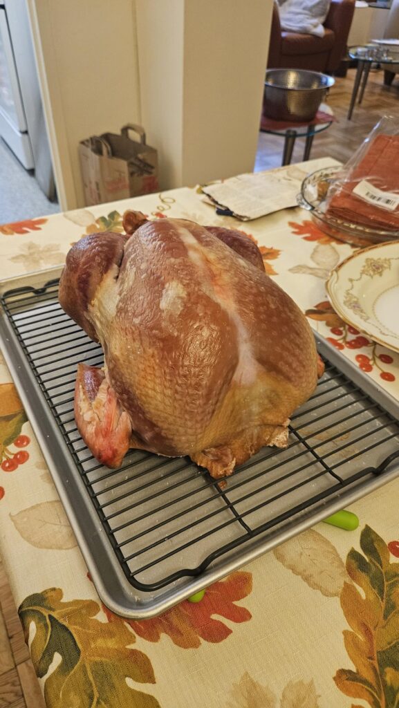 Did I f*ck up this turkey?
