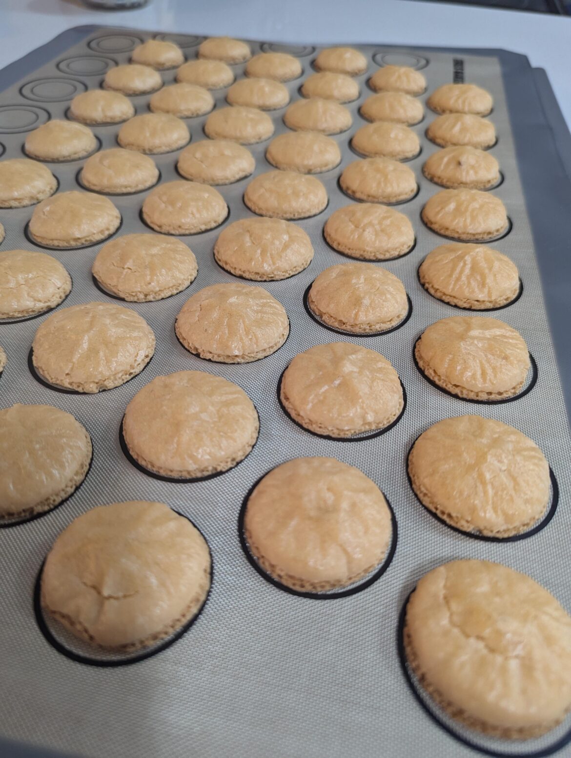 Under macaronaged, right?