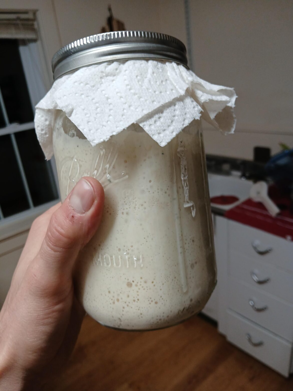 I left my starter in the fridge for over a year. This is it's first feeding. No need to overthink and baby your sourdough.