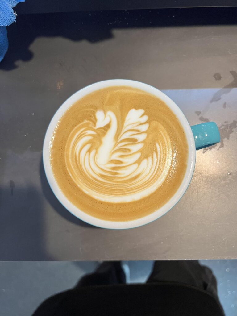 Update: swan progress