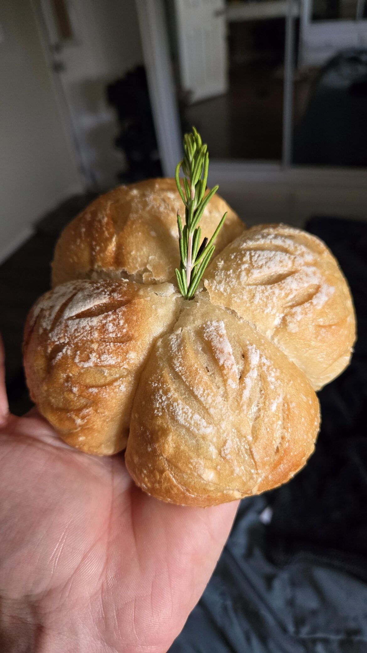 My girlfriend is getting pretty good at making bread.