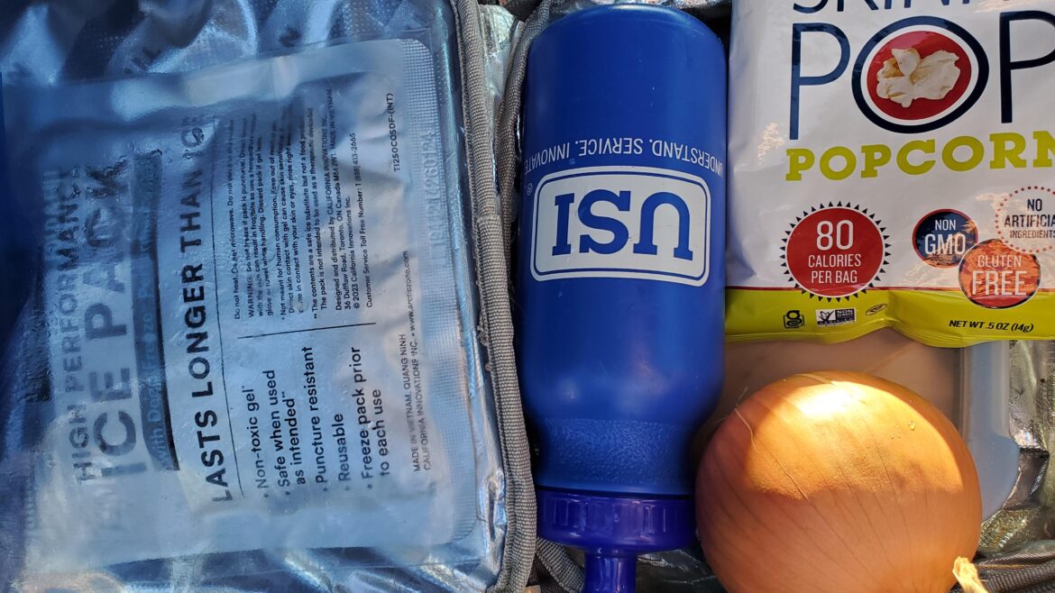 I snuck an onion in my son's school lunch as a joke.