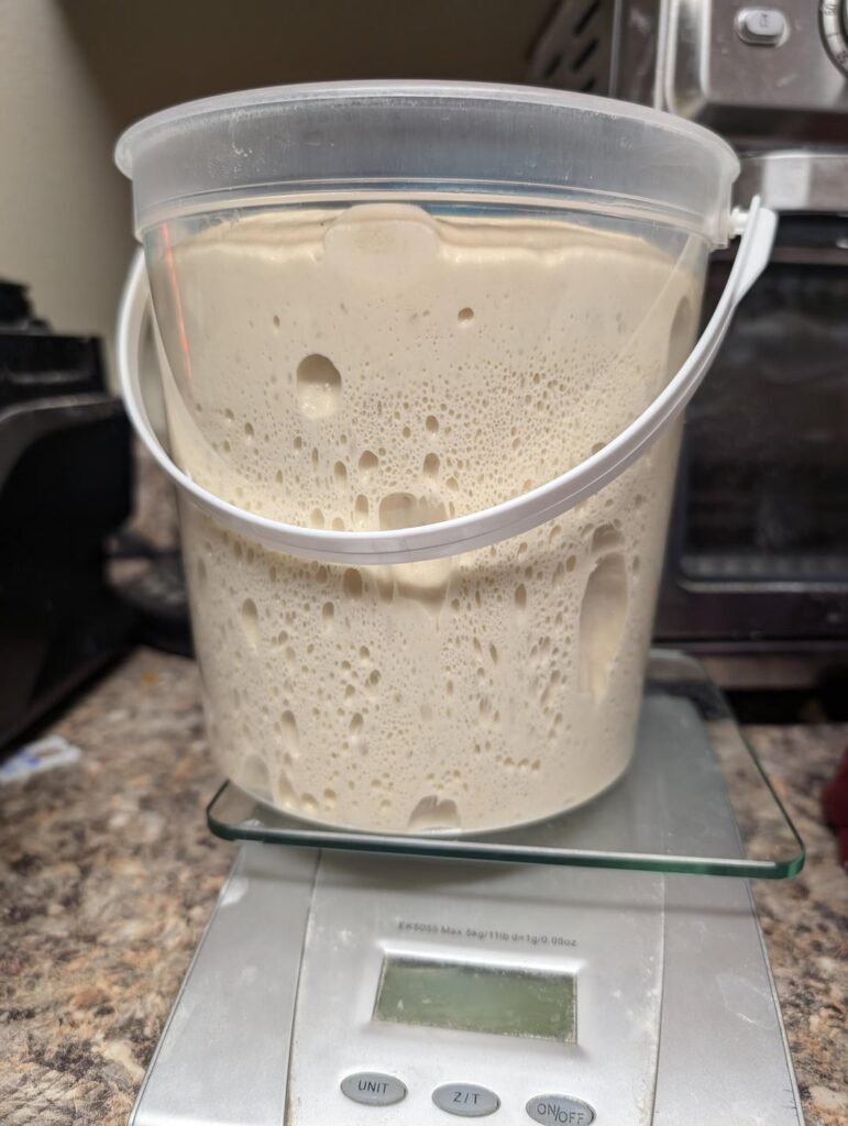 How does this crumb look? How does this crumb look?