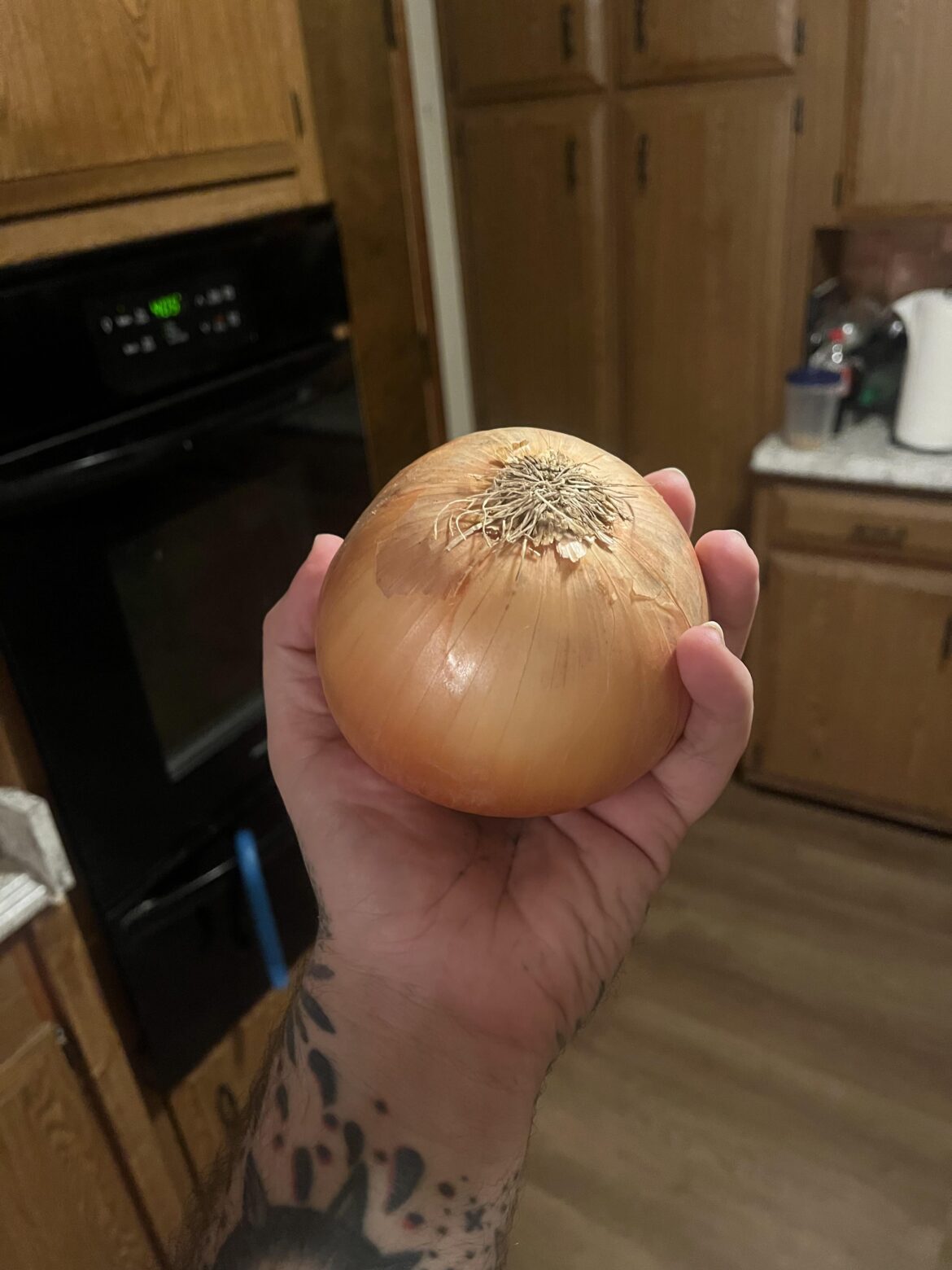 Is my Onion Valid?