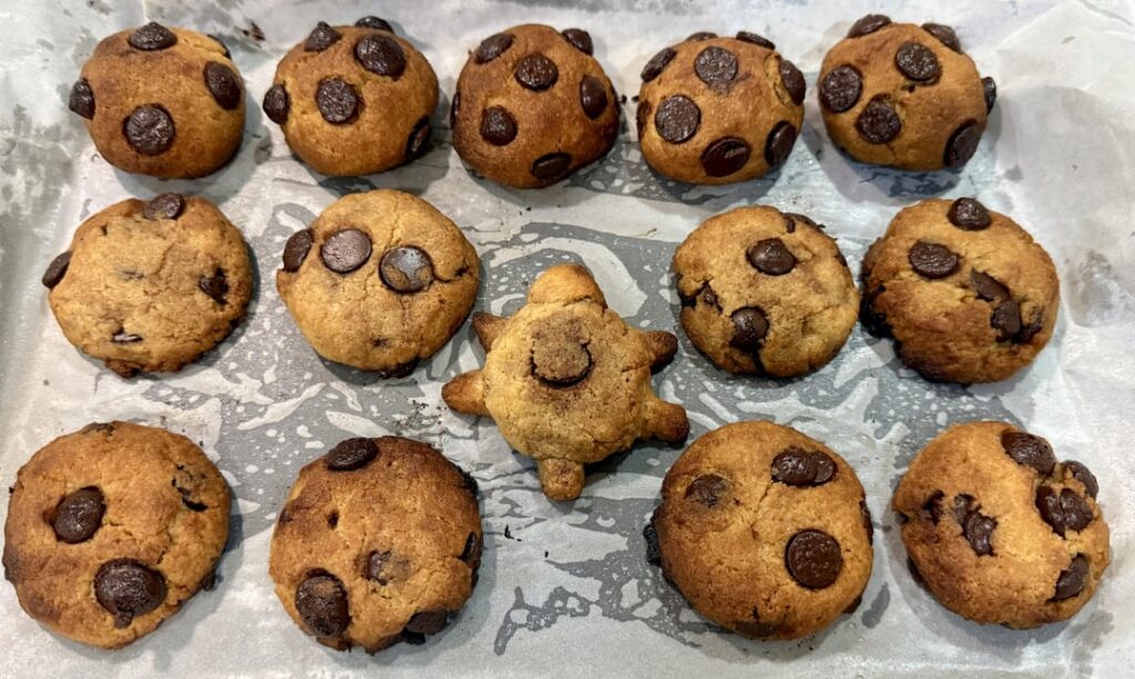 Keto Crispy on the outside, soft and chewy on the inside chocolate chips cookies. Keto Crispy on the outside, soft and chewy on the inside chocolate chips cookies.