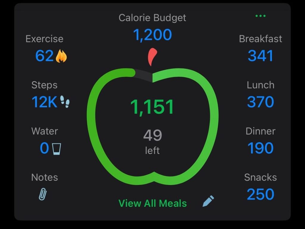 A good day of eating on a cut