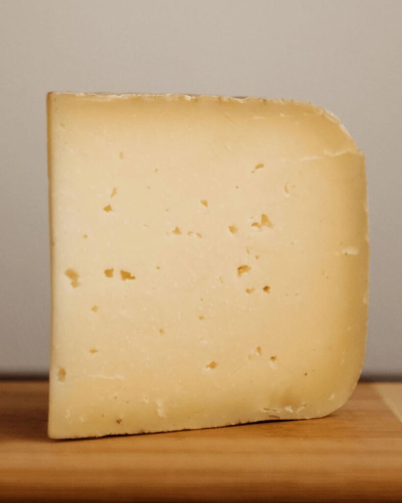 Day 1549 of posting images of cheese until I run out of cheese types: Daisy