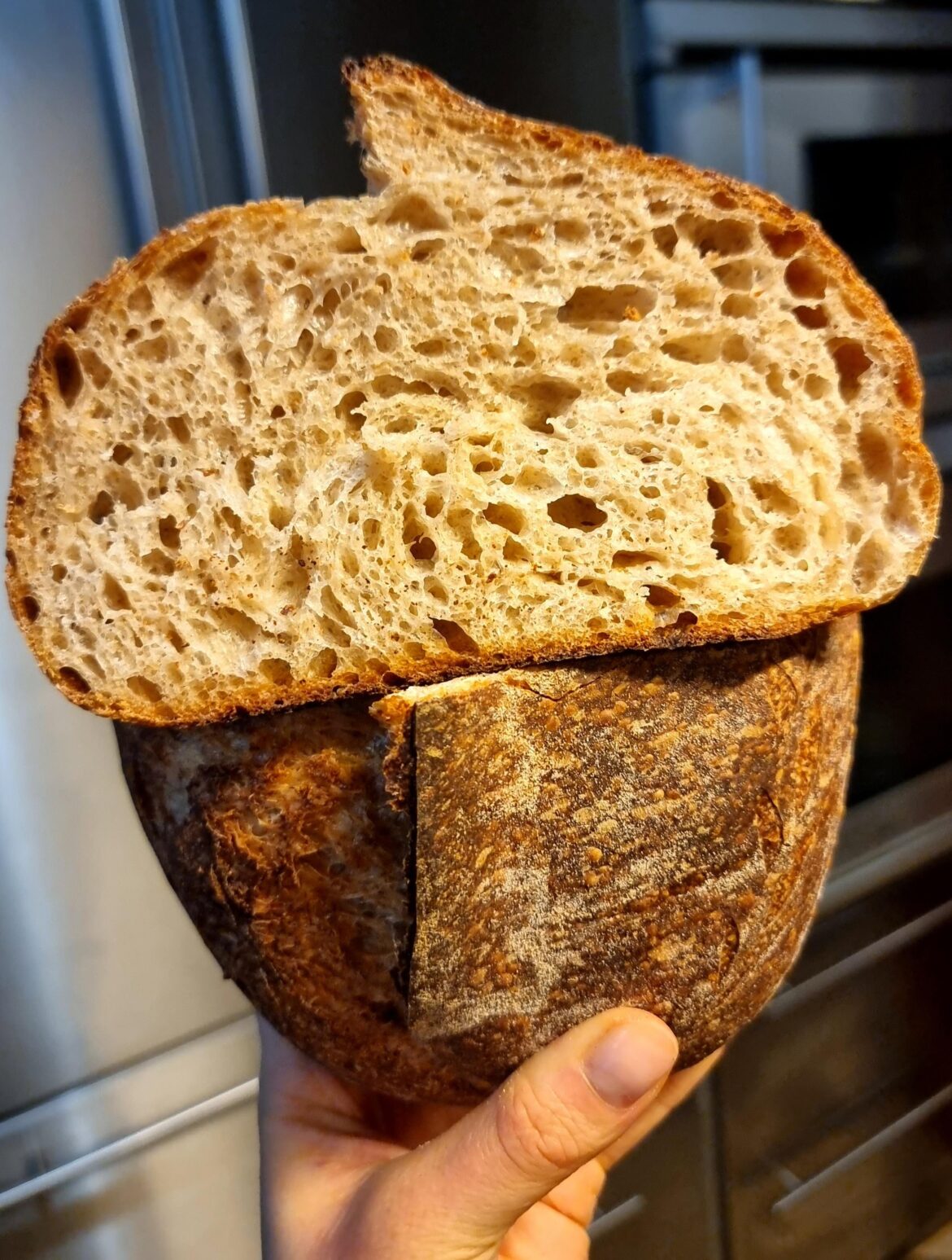 My best loaf yet – 81% hydration, 30% whole wheat My best loaf yet - 81% hydration, 30% whole wheat