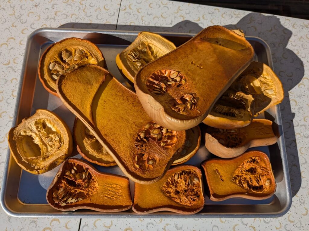 Smoked pumpkins and squash for an unbeatable fall soup