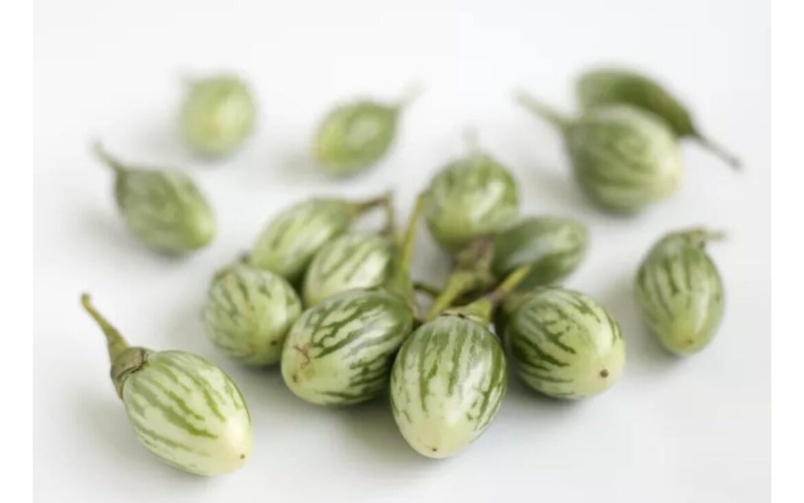 Looking for Thai eggplant at a market