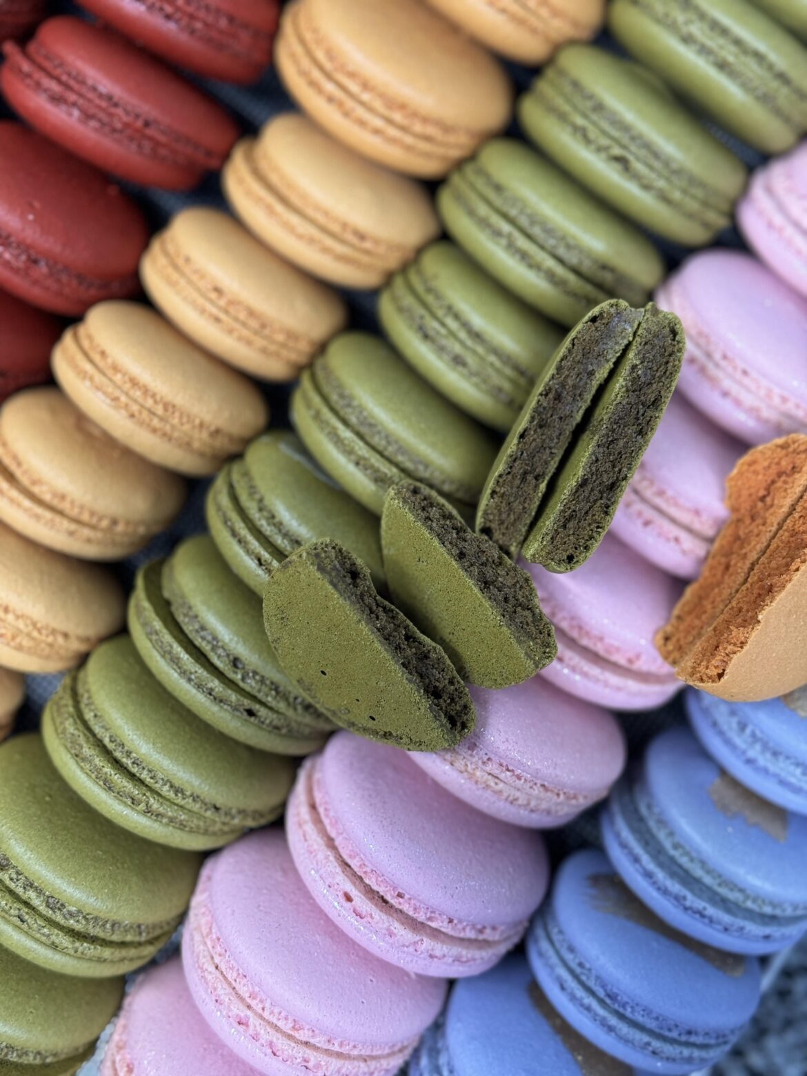 macarons ❤️