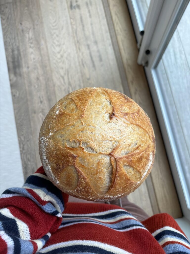 What do you guys think about my sourdough loaf :3