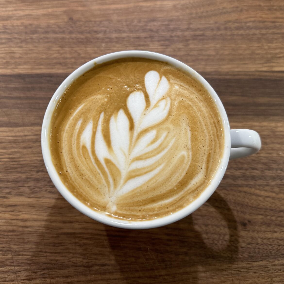 I brought you a tulip